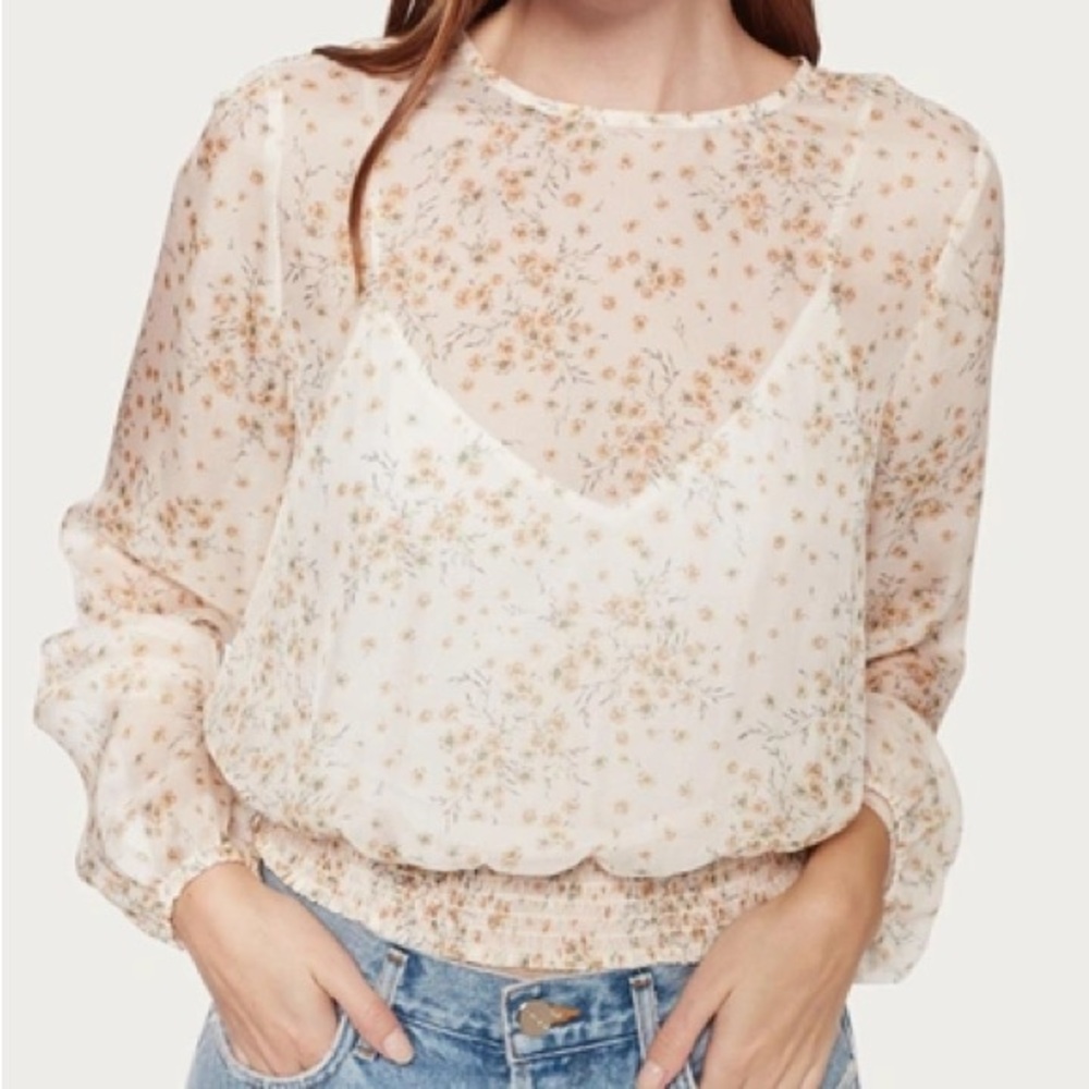 Cami NYC Robyn Chiffon Top in Pale Wallflower Beige